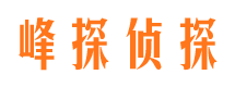 双流侦探社